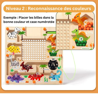 DinoMagnet Jeu Labyrinthe de nombres et couleurs (3 à 5 ans)